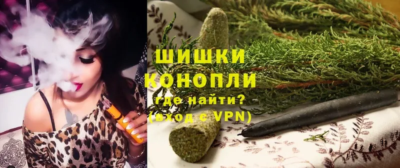 Бошки марихуана конопля  Гудермес 